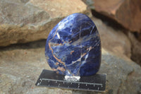 Polished Sodalite Standing Free Forms x 4 From Kunene River, Namibia