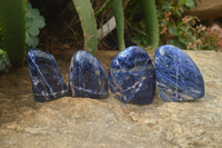 Polished Sodalite Standing Free Forms x 4 From Kunene River, Namibia