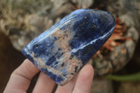 Polished Sodalite Standing Free Forms x 4 From Kunene River, Namibia