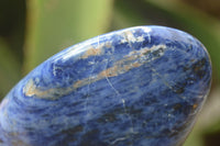 Polished Sodalite Standing Free Forms x 4 From Kunene River, Namibia