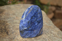 Polished Sodalite Standing Free Forms x 4 From Kunene River, Namibia