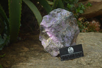 Natural Stichtite Cobbed Specimen x 1 From Barberton, South Africa