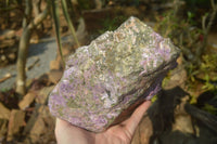 Natural Stichtite Cobbed Specimen x 1 From Barberton, South Africa