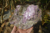 Natural Stichtite Cobbed Specimen x 1 From Barberton, South Africa