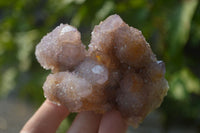 Natural Ametrine Spirit Quartz Clusters x 2 From Boekenhouthoek, South Africa