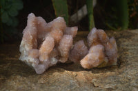 Natural Ametrine Spirit Quartz Clusters x 2 From Boekenhouthoek, South Africa