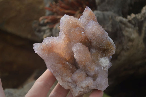 Natural Ametrine Spirit Quartz Clusters x 2 From Boekenhouthoek, South Africa