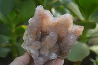 Natural Ametrine Spirit Quartz Clusters x 2 From Boekenhouthoek, South Africa