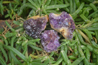 Natural Amethystos Amethyst Specimens x 70 From Kwaggafontein, South Africa