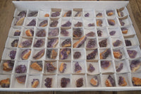 Natural Amethystos Amethyst Specimens x 70 From Kwaggafontein, South Africa