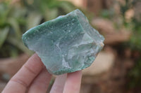 Natural Jade Cobbed Specimens x 12 From Swaziland