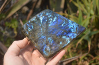 Polished Labradorite Standing Free Form x 1 From Tulear, Madagascar