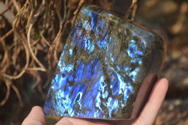 Polished Labradorite Standing Free Form x 1 From Tulear, Madagascar