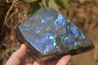 Polished Labradorite Standing Free Form x 1 From Tulear, Madagascar