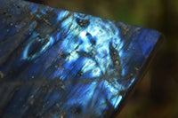 Polished Labradorite Standing Free Form x 1 From Tulear, Madagascar