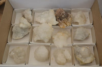 Natural Drusy Quartz Coated Calcite Pseudomorph Specimens x 12 From Lesotho