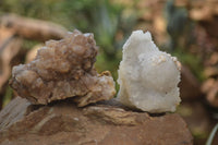 Natural Drusy Quartz Coated Calcite Pseudomorph Specimens x 12 From Lesotho