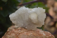 Natural Drusy Quartz Coated Calcite Pseudomorph Specimens x 12 From Lesotho