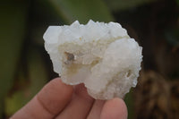 Natural Drusy Quartz Coated Calcite Pseudomorph Specimens x 12 From Lesotho