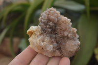 Natural Drusy Quartz Coated Calcite Pseudomorph Specimens x 12 From Lesotho