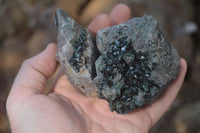 Natural Libethenite Crystals On Dolomite Matrix Specimens x 6 From Shituru, Congo