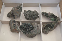 Natural Libethenite Crystals On Dolomite Matrix Specimens x 6 From Shituru, Congo