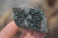 Natural Libethenite Crystals On Dolomite Matrix Specimens x 6 From Shituru, Congo