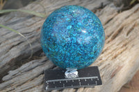 Polished Chrysocolla Conglomerate Spheres x 2 From Congo