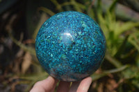 Polished Chrysocolla Conglomerate Spheres x 2 From Congo