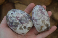 Polished Rubellite Pink Tourmaline Standing Free Forms x 6 From Madagascar