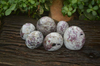 Polished Rubellite Pink Tourmaline Standing Free Forms x 6 From Madagascar