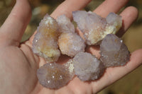 Natural Ametrine Spirit Quartz Crystals x 24 From Boekenhouthoek, South Africa