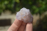 Natural Ametrine Spirit Quartz Crystals x 24 From Boekenhouthoek, South Africa