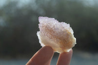 Natural Ametrine Spirit Quartz Crystals x 24 From Boekenhouthoek, South Africa