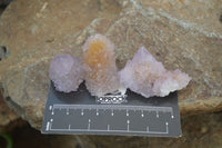 Natural Ametrine Spirit Quartz Crystals x 24 From Boekenhouthoek, South Africa