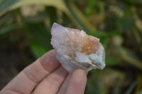 Natural Ametrine Spirit Quartz Crystals x 24 From Boekenhouthoek, South Africa