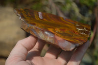 Polished On One Side Nguni Jasper Specimens x 3 From Prieska, South Africa