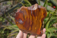 Polished On One Side Nguni Jasper Specimens x 3 From Prieska, South Africa