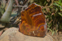 Polished On One Side Nguni Jasper Specimens x 3 From Prieska, South Africa