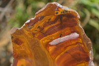 Polished On One Side Nguni Jasper Specimens x 3 From Prieska, South Africa