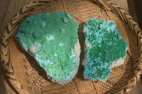 Natural Botryoidal Malacolla Specimens x 2 From Kulukuluku, Congo