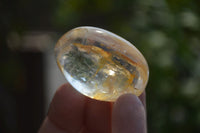 Polished Clear Quartz Palm Stones x 40 From Madagascar