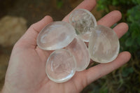 Polished Clear Quartz Palm Stones x 40 From Madagascar