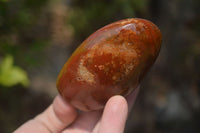 Polished Red Jasper Standing Free Forms x 6 From Madagascar