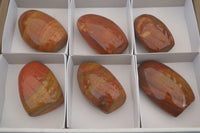 Polished Red Jasper Standing Free Forms x 6 From Madagascar