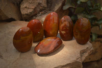 Polished Red Jasper Standing Free Forms x 6 From Madagascar