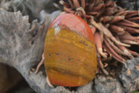 Polished Red Jasper Standing Free Forms x 6 From Madagascar