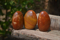 Polished Red Jasper Standing Free Forms x 6 From Madagascar