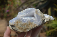 Natural Blue Lace Agate Specimens x 2 From Nsanje, Malawi