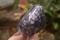 Polished Lepidolite Standing Free Forms x 3 From Zimbabwe